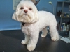 im002557_edited-1
