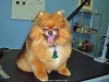 im002613_edited-1